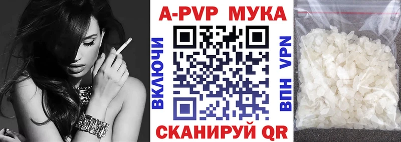 KRAKEN зеркало  Светлогорск  APVP СК КРИС 