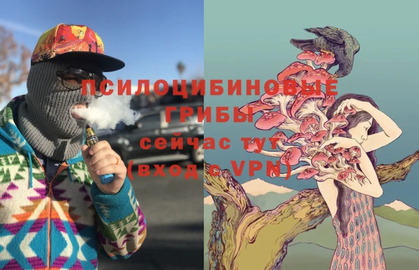 метадон Богородицк