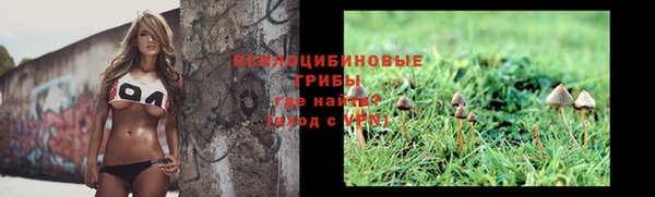 прущие грибы Богданович