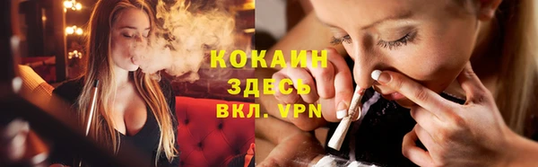 прущие грибы Богданович