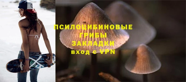 прущие грибы Богданович