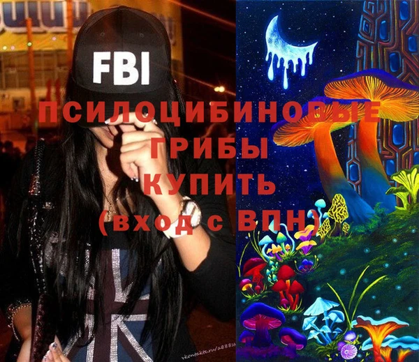 прущие грибы Богданович