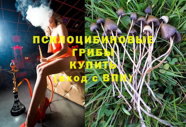 хмурый Белоозёрский