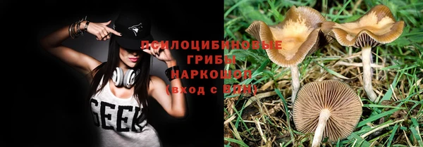 прущие крисы Сясьстрой